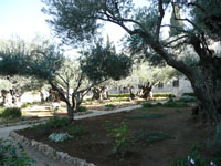 gdn of gethsemane 3